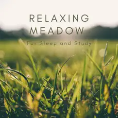 Meadow Ambience Song Lyrics