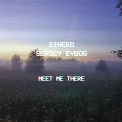 Meet Me There (Remix) - Single by Sineko & Sergey Eybog album reviews, ratings, credits