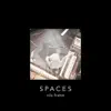 Spaces (Special Edition) album lyrics, reviews, download