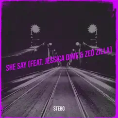 SHE SAY (feat. JESSICA DIME & ZED ZILLA) - Single by Stebo album reviews, ratings, credits
