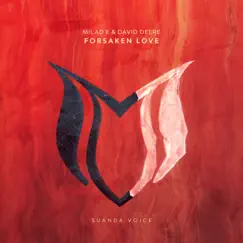 Forsaken Love Song Lyrics