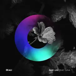 Past Life (feat. Opia) - Single by Ekali album reviews, ratings, credits