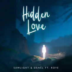Hidden Love (feat. Roye) Song Lyrics