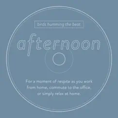 Afternoon - Single by Birds humming the beat album reviews, ratings, credits
