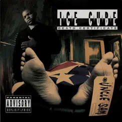 Death Certificate by Ice Cube album reviews, ratings, credits