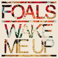 Wake Me Up - Single by Foals album reviews, ratings, credits
