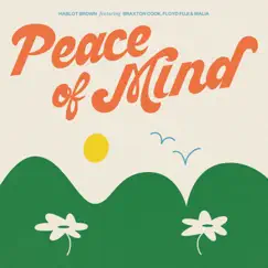 Peace of Mind (feat. Braxton Cook, Floyd Fuji & Malia) - Single by Hablot Brown album reviews, ratings, credits