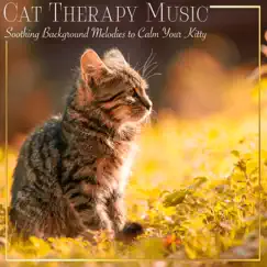 Cat Meditation Song Lyrics
