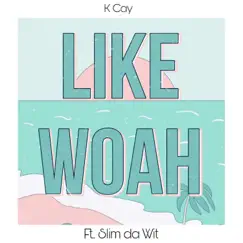 Like Woah (feat. Slim da Wit) Song Lyrics