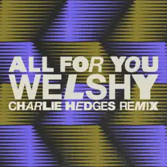 All for You (Charlie Hedges Remix) - Single by Welshy & Charlie Hedges album reviews, ratings, credits