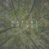 Nature Sounds Tree Rituals - Single album lyrics, reviews, download