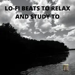 Lo-fi Beats to Relax and Study To, Vol. 10 by Wood Grain Cafe album reviews, ratings, credits