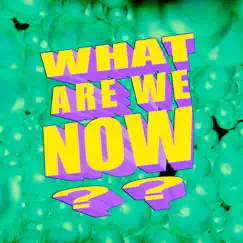 What Are We Now? Song Lyrics