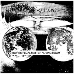 Weaponized Molecular Dissection/Mass Audial Destruction - Single by Bovine Fecal Matter album reviews, ratings, credits