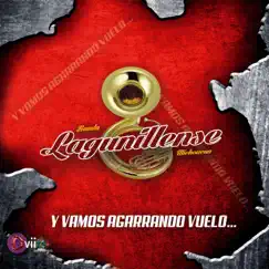 ¡Y VAMOS AGARRANDO VUELO! by Banda Lagunillense album reviews, ratings, credits
