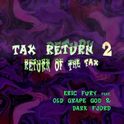 TAX RETURN 2 VIP (DUB) (feat. Dark Fjord) Song Lyrics