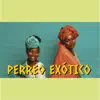 Perreo Exótico - Single album lyrics, reviews, download