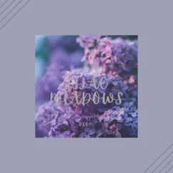 Lilac Meadows - Single by Kröm album reviews, ratings, credits