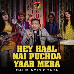 Hey Haal Nai Puchda Yaar Mera - Single by Malik Amin Piyara album reviews, ratings, credits
