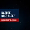 Moments of Sleeping - Nature Deep Sleep album lyrics, reviews, download