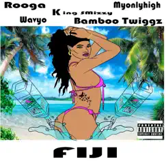 Fiji (feat. bamboo twiggz & Myonlyhigh) Song Lyrics