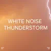!!!" White Noise Thunderstorm"!!! album lyrics, reviews, download