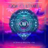 Goa Culture, Vol. 24 album lyrics, reviews, download