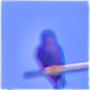 Flying Again - Single album lyrics, reviews, download