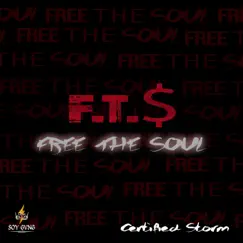 Free the Soul Song Lyrics
