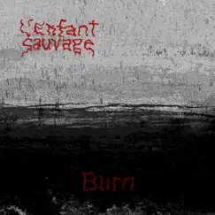 Curtains of Hate - Single by L'Enfant Sauvage album reviews, ratings, credits