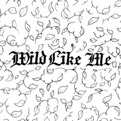 Wild Like Me Song Lyrics