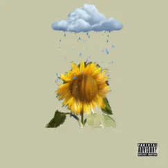 Raining Sunflowers (feat. Hobb) - Single by Sam Sage album reviews, ratings, credits