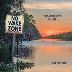 No Wake Zone - Greatest Hits, Vol. 1 by Pat Surface album reviews, ratings, credits