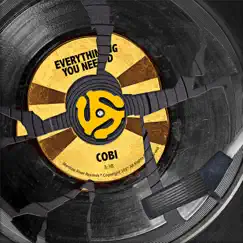 Everything You Need - Single by Cobi album reviews, ratings, credits