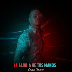 La Gloria de Tus Manos Song Lyrics