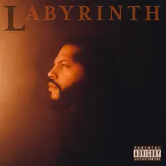 Labyrinth - Single by Saint Danerik album reviews, ratings, credits