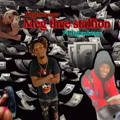 Meg Thee Stallion (feat. Bigbankzaay) - Single by BIGBANKYAYA album reviews, ratings, credits