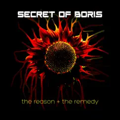The Reason + the Remedy - EP by Secret Of Boris album reviews, ratings, credits