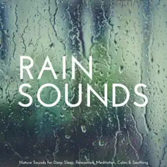 Rain White Noise Song Lyrics