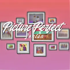 Picture Perfect - Single by Sonlan album reviews, ratings, credits