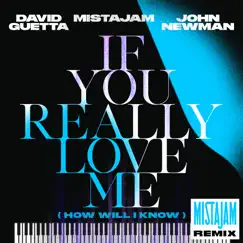 If You Really Love Me (How Will I Know) [MistaJam Remix] - Single by David Guetta, MistaJam & John Newman album reviews, ratings, credits