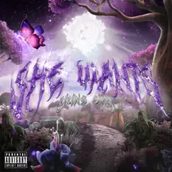 She Wants - Single by Yung Sky album reviews, ratings, credits
