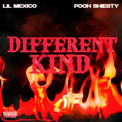 Different Kind - Single by Lil Mexico album reviews, ratings, credits
