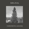 Concrete Leaves - Single album lyrics, reviews, download