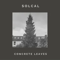 Concrete Leaves Song Lyrics