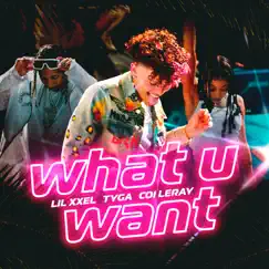 What U Want - Single by Lil Xxel, Tyga & Coi Leray album reviews, ratings, credits