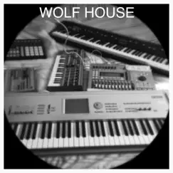 Not Birdy Birdy Woof Woof - Single by Wolf House album reviews, ratings, credits