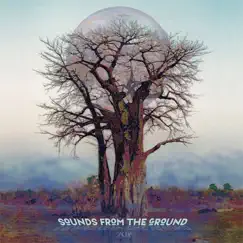 Kin by Sounds from the Ground album reviews, ratings, credits