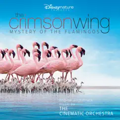 The Crimson Wing: Mystery of the Flamingos (Original Soundtrack) by The Cinematic Orchestra & London Metropolitan Orchestra album reviews, ratings, credits
