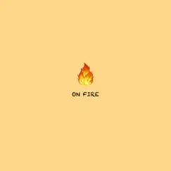 On Fire - Single by Micel O album reviews, ratings, credits